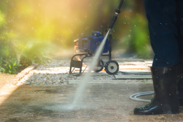 Animal Enclosure Cleaning in La Monte, MO